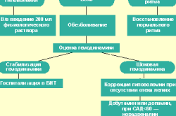 Алгоритм действий купирования кардиогенного шока на догоспитальном этапе