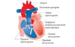 Шумы в сердце у ребенка: симптомы и причины возникновения